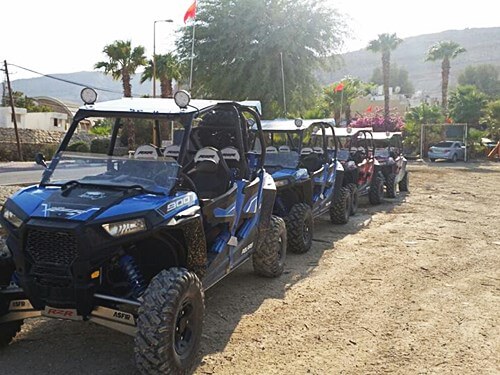 טרקטורוני ים המלח